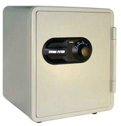 Fire Fyter 1.25 Cubic Foot Capacity Combination Fire Safe FF1250